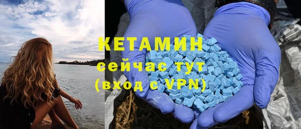крисы Аркадак