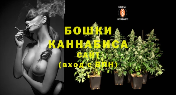 крисы Аркадак