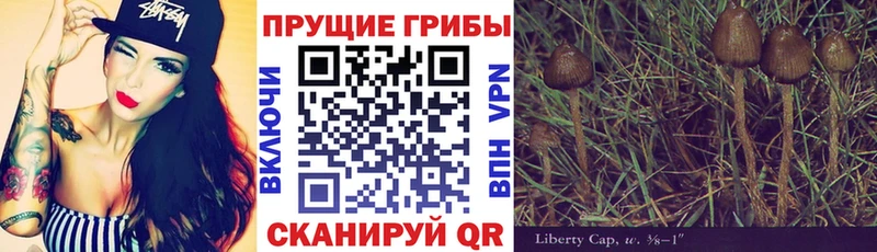 Галлюциногенные грибы мухоморы  дарнет шоп  OMG вход  Нарткала 