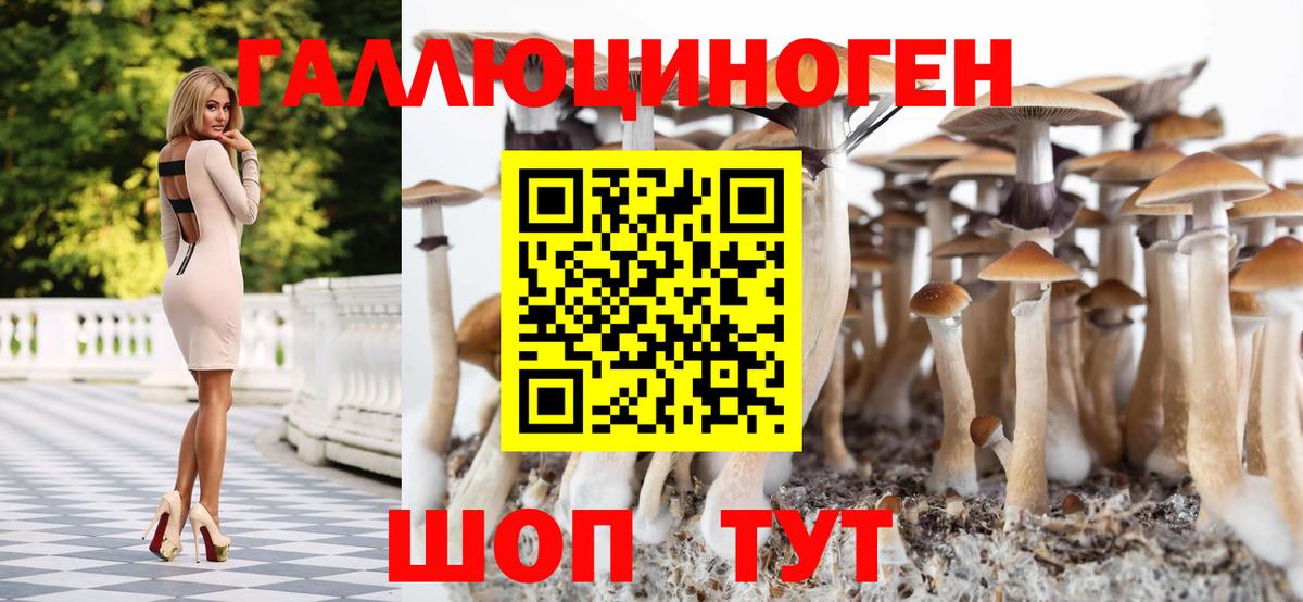 Псилоцибиновые грибы Cubensis Нарткала