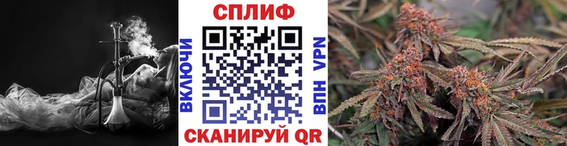 Каннабис сатива Нарткала